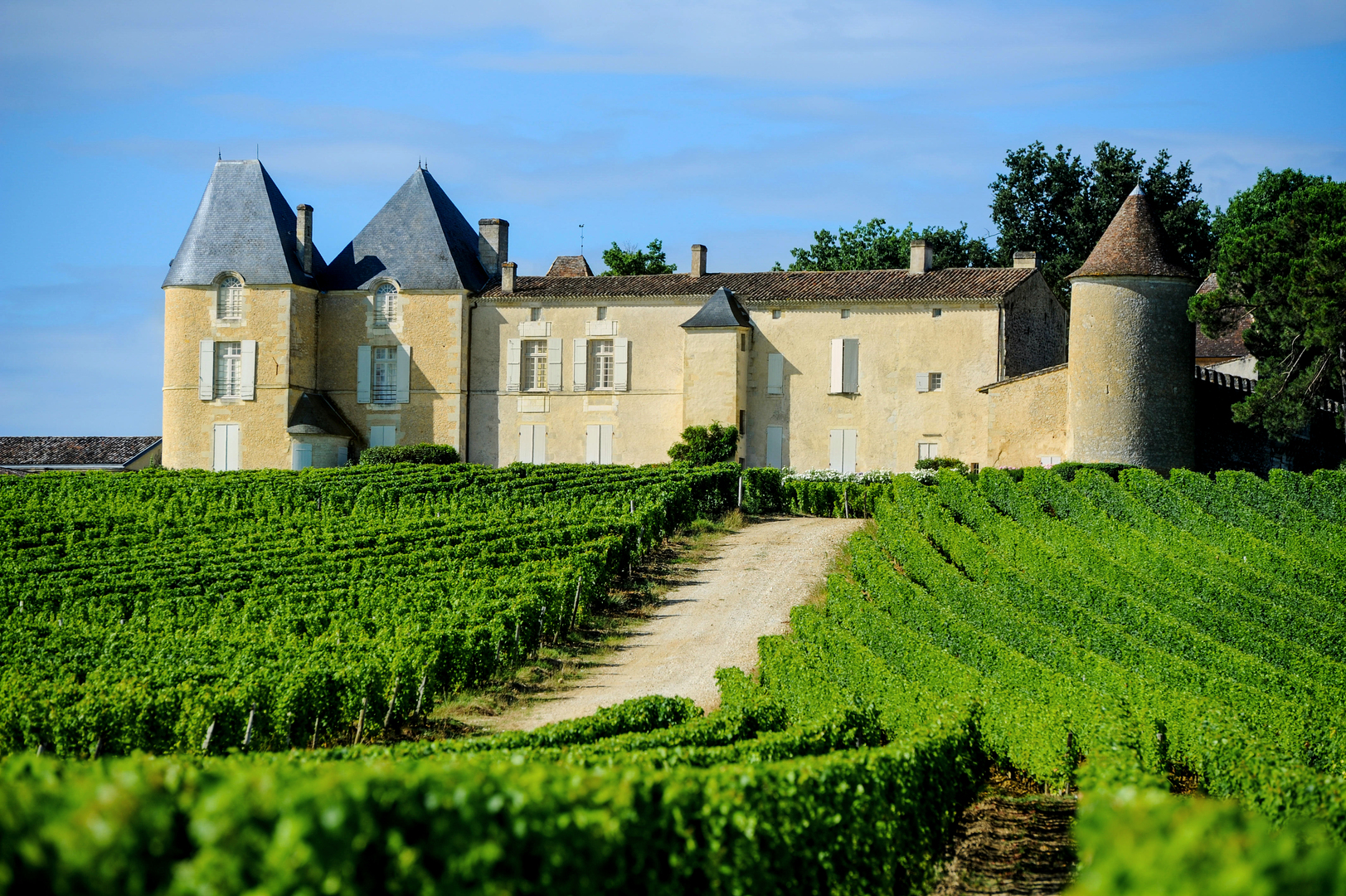 The vineyard at Chateau d’Yquem in Sauternes, France