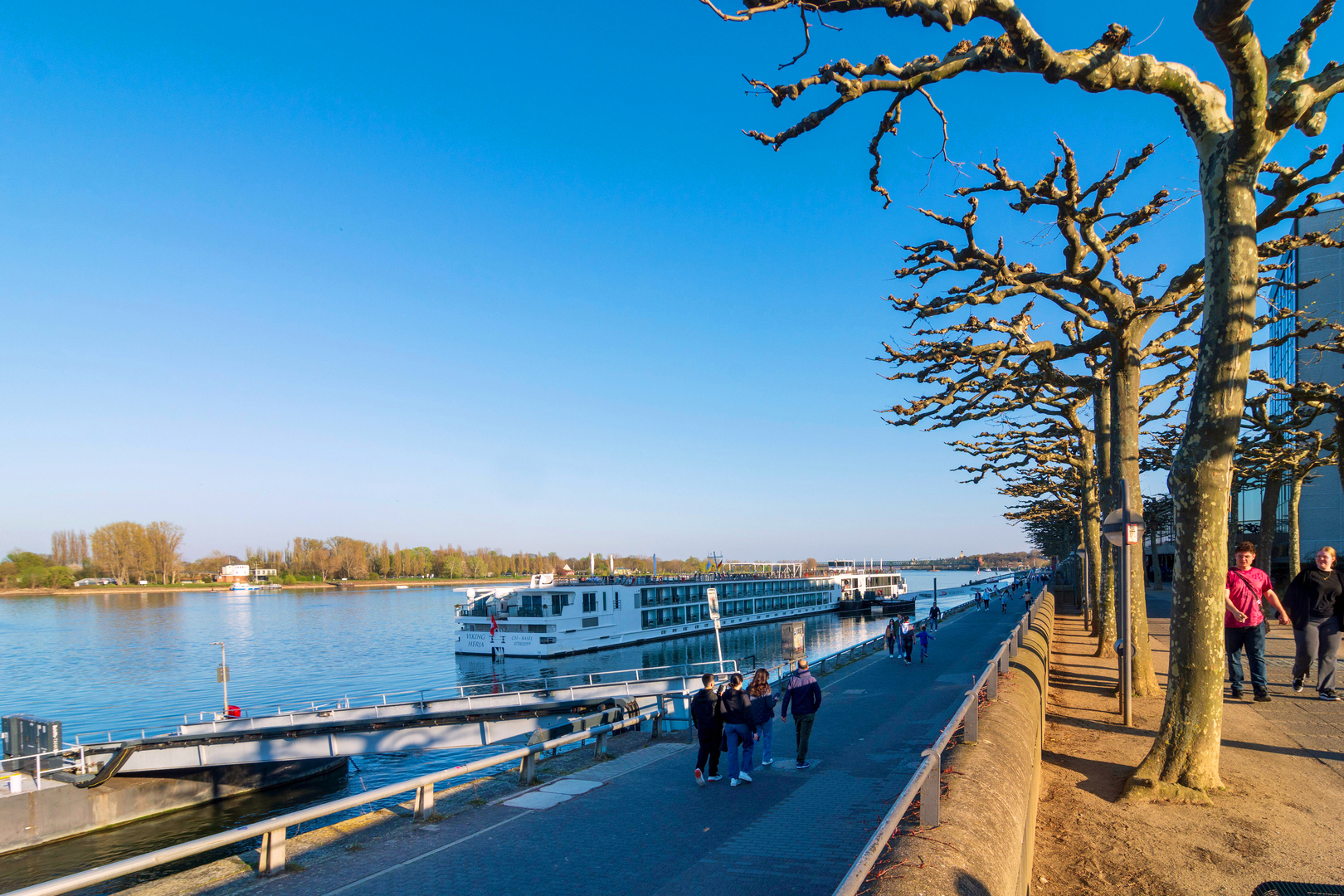 The Rhine River in Rheinhessen, Germany